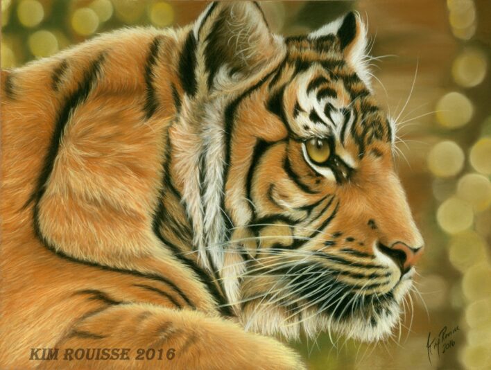 Tigre
