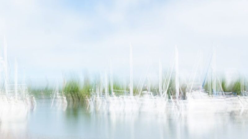 11_710_8526-2