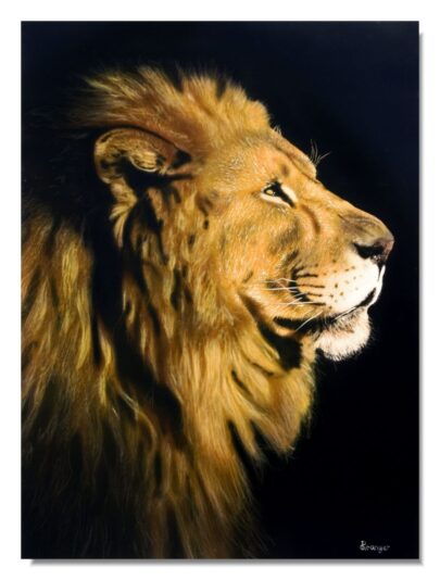 AC-Lion_tete