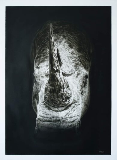 AD-Rhino