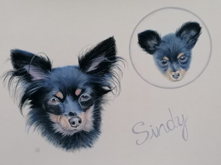 portrait Sindy