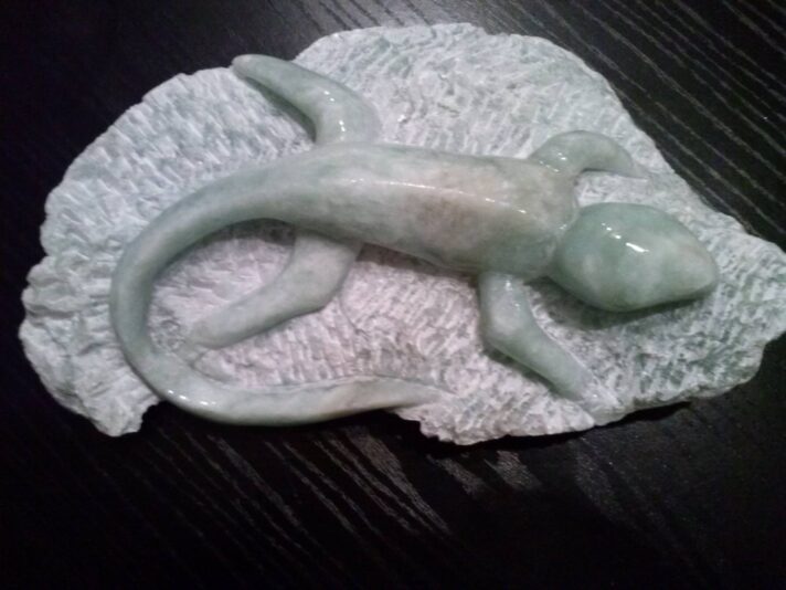 lézard