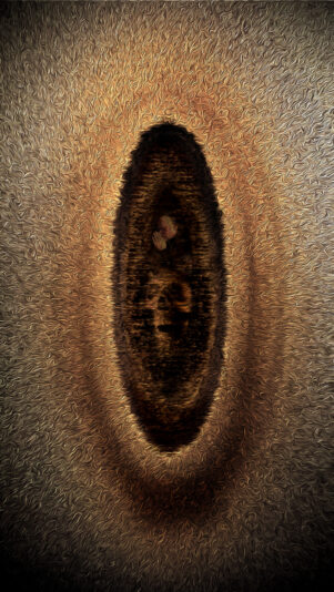 le trou