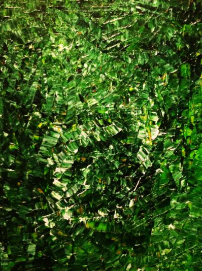 Rainforest 2024