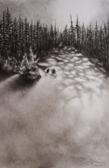 1-Morin julie Lever de soleil hivernal