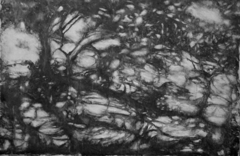 12-Morinjulie Série Ombres et lumières1