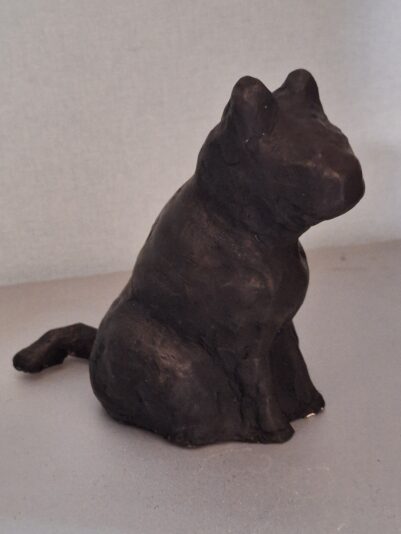BlackCatJSO2025