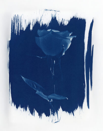 Rose DM b 20251008_17004944