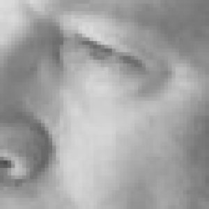 Photo de Profil de Jeanluc Archenault