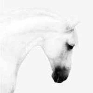 Photo de Profil de Cecile LEROYER