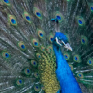 Photo de Profil de Chalem 3D