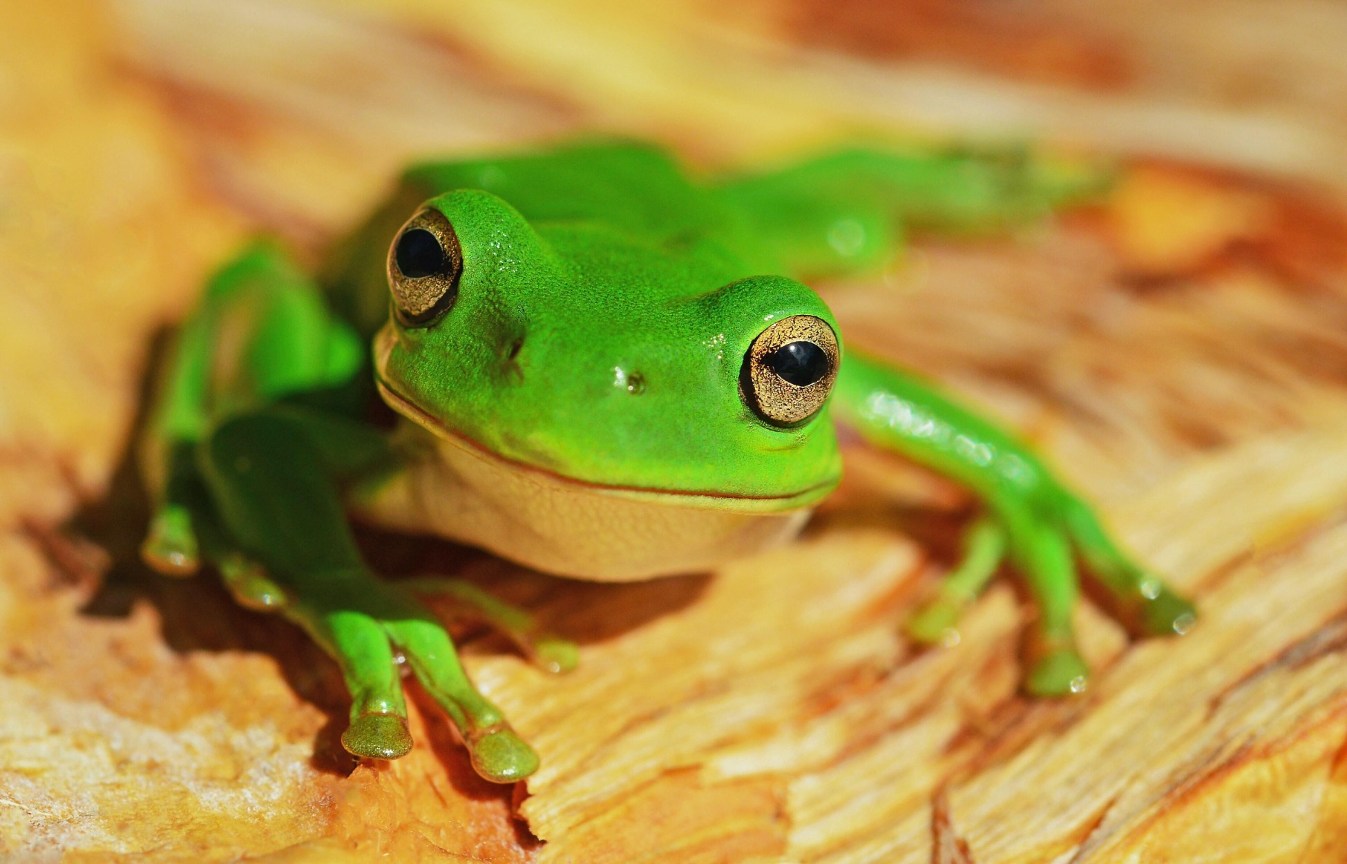 Group cover image