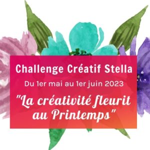 Logo du groupe Challenge Créatif Stella